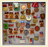 Military Badges #13