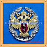 Military Badges #11